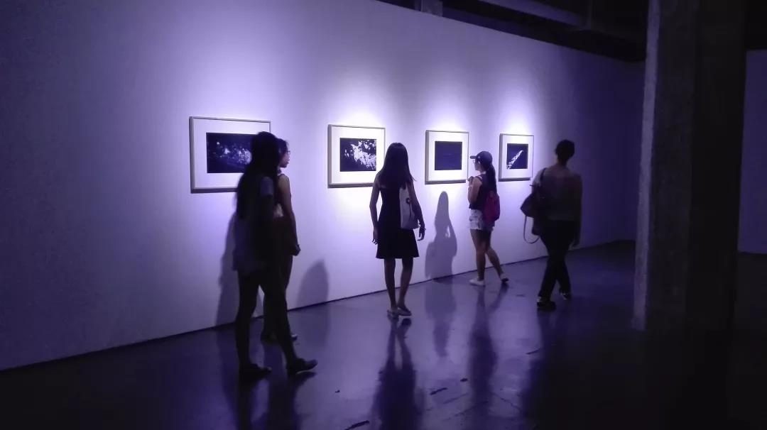 參觀藝術(shù)展覽