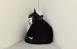 開幕邀請 | 致敬偉大攝影師Irving Penn——陳祺緯黑白肖像攝影展