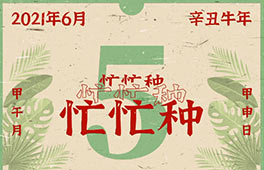 忙忙種 Seed of Imagination | AIVA 2021畢業(yè)展拉開帷幕，我們一起相約“芒種”！