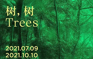 AIVA Guide | 高溫來(lái)襲，我們?cè)诿佬g(shù)館避暑，7月好展推薦